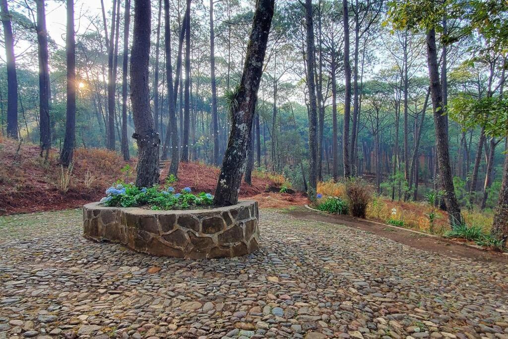 Villa Fantasia A 15 Min A Pie De Cascada Mazamitla Bagian luar foto